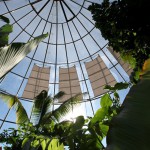 Glasbeschattungen mit Sonnensegeln für den botanischen Garten in Zürich ZH