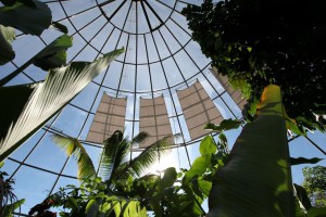 Glasbeschattungen mit Sonnensegeln für den botanischen Garten in Zürich ZH