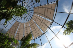 Glasbeschattungen mit Sonnensegel für den botanischen Garten in Zürich ZH