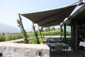 Sonnenterrasse mitten im Rebberg